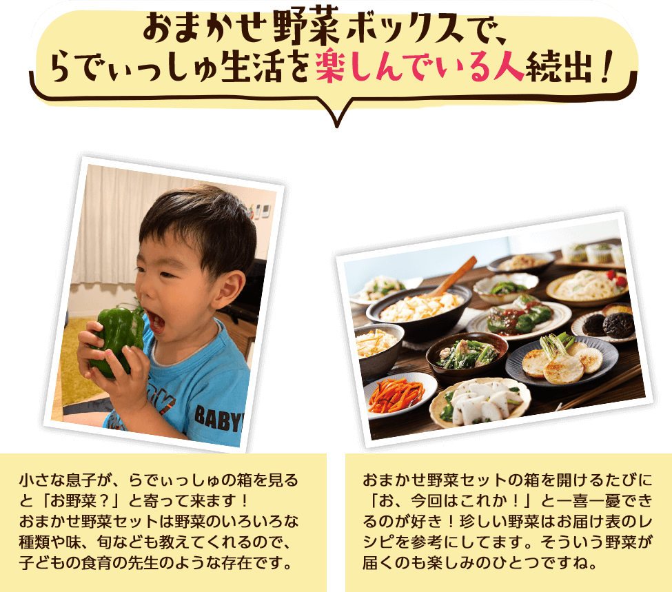 おまかせ野菜ボックスで、らでぃっしゅ生活を楽しんでいる人続出!