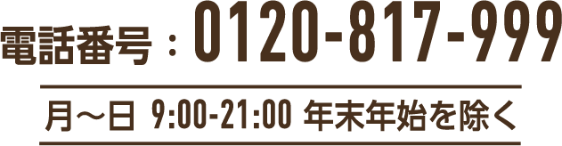 電話番号:0120-817-999