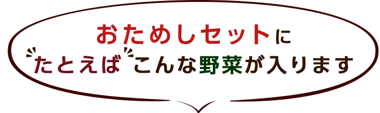 おためしセットにたとえばこんな野菜が入ります