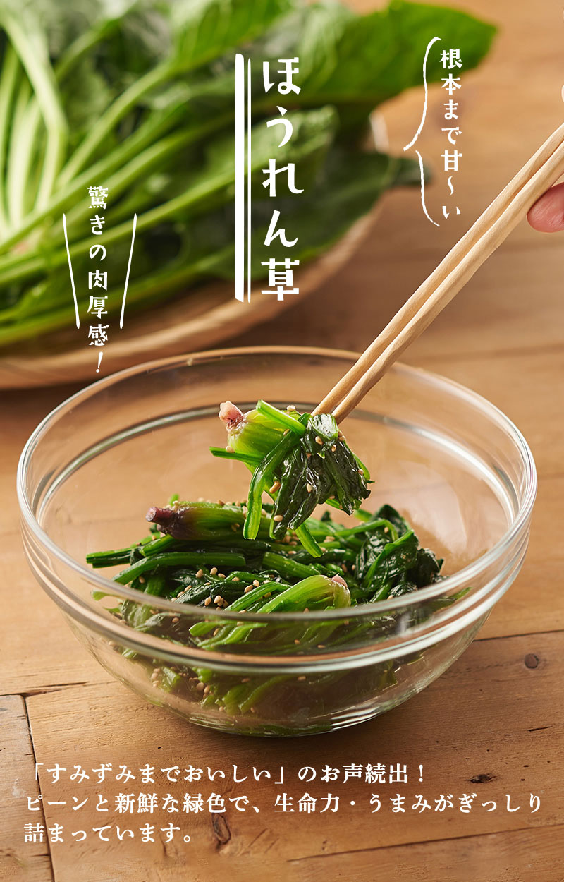 根本まで甘~い ほうれん草