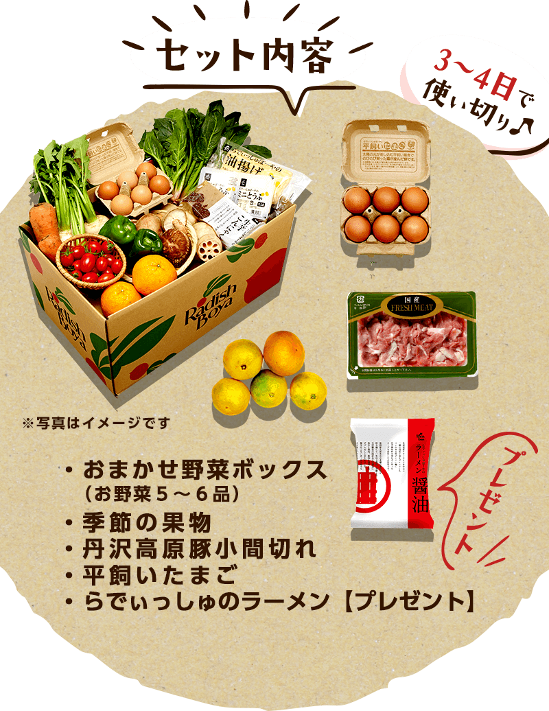 3~4日で使い切り♪セット内容