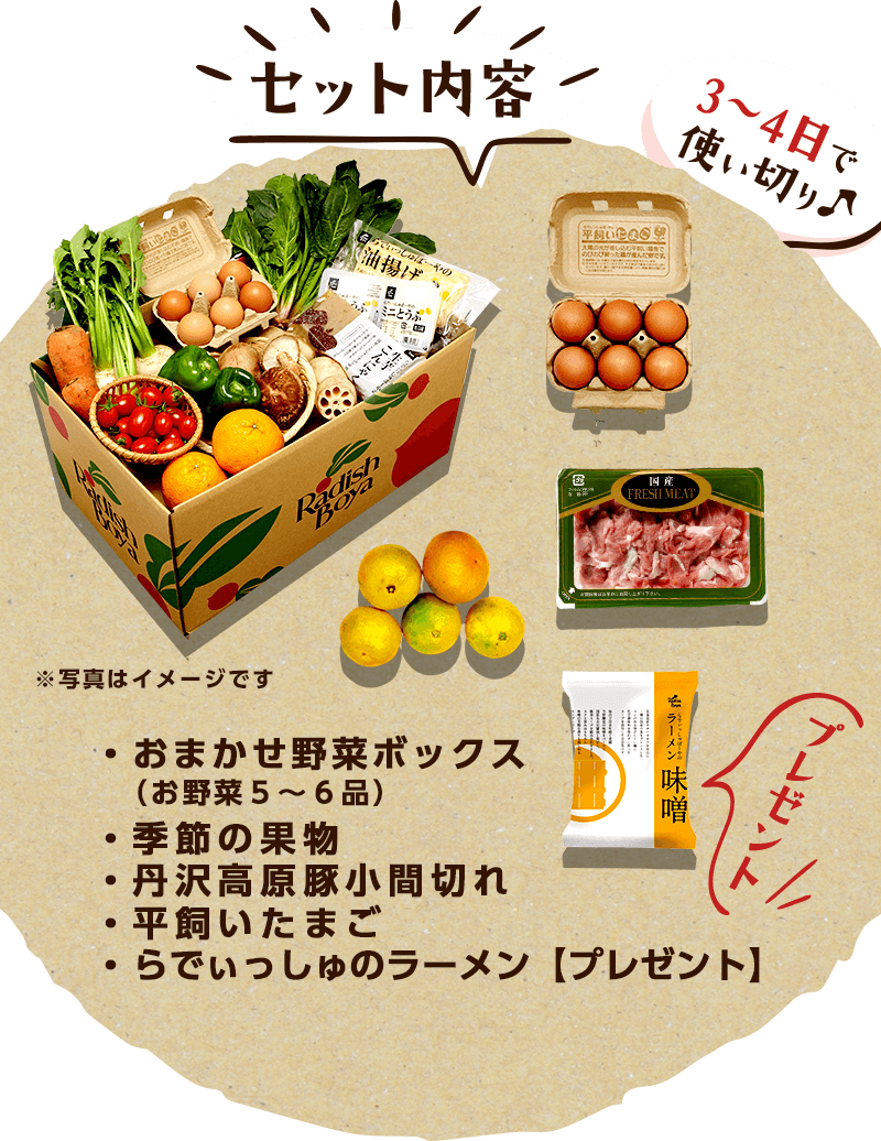 3~4日で使い切り♪セット内容