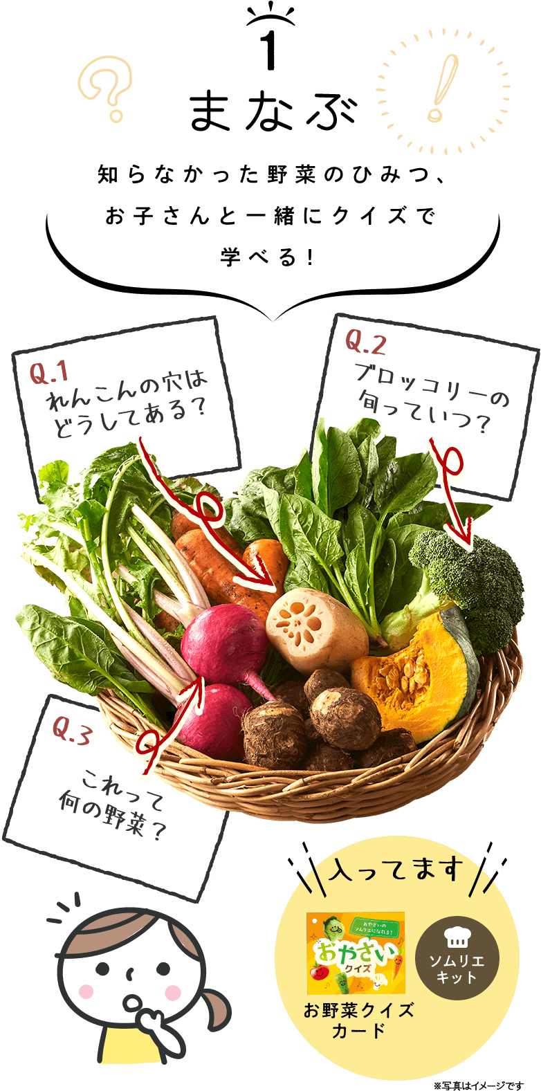 まなぶ 知らなかった野菜のひみつ、お子さんと一緒にクイズで学べる!