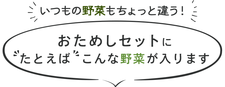 いつもの野菜もちょっと違う!おためしセットにたとえばこんな野菜が入ります
