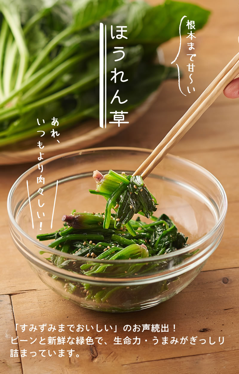 根本まで甘~い ほうれん草