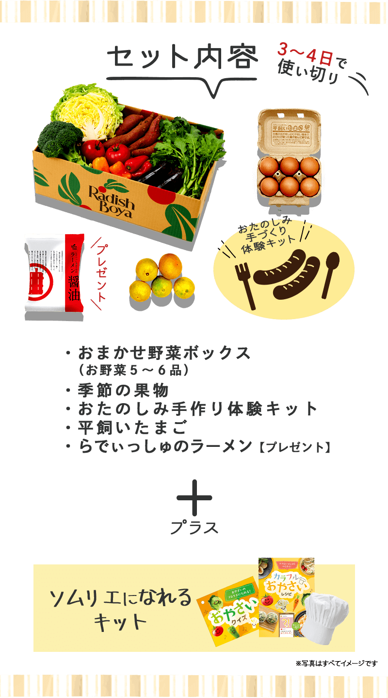 3~4日で使い切り♪セット内容
