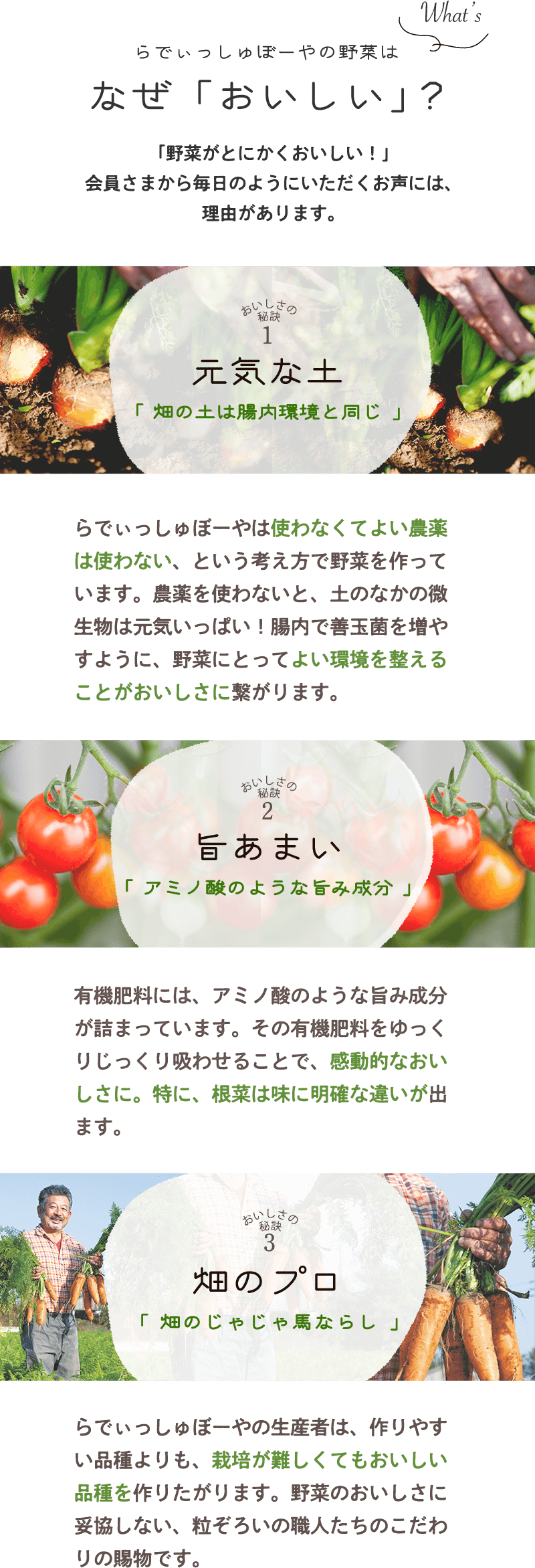 らでぃっしゅぼーやの野菜はなぜ「おいしい」?