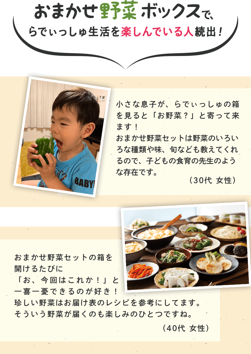 おまかせ野菜ボックスで、らでぃっしゅ生活を楽しんでいる人続出!