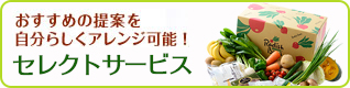おすすめの提案を自分らしくアレンジ可能。らでぃっしゅクラブ