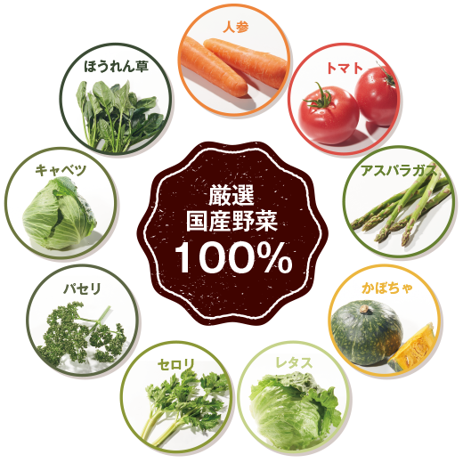 厳選国産野菜100%