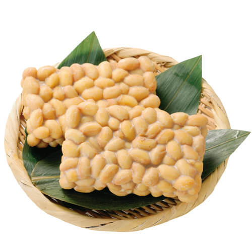 テンペ - Tempeh - JapaneseClass.jp