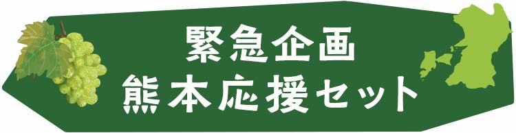 復興支援 野菜の定期便