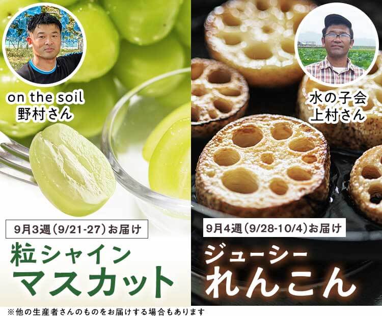 今、一番おいしい季節の野菜を定期でお届け旬を楽しむ めぐる野菜箱