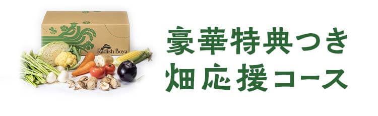 畑応援 めぐる野菜箱