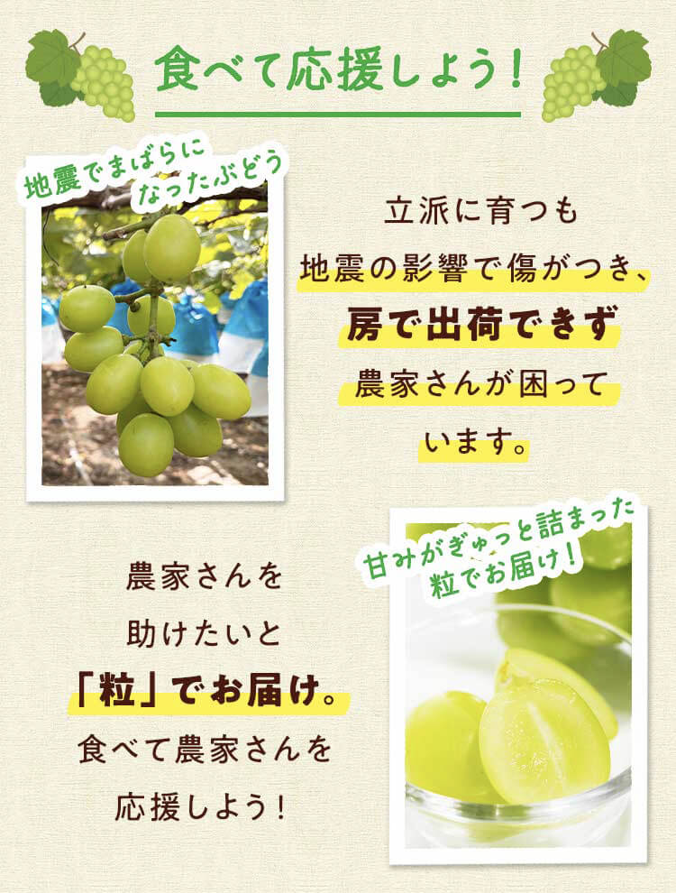 畑の紹介