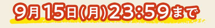 
1/20(月)23:59まで