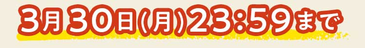 
3/9(月)23:59まで
