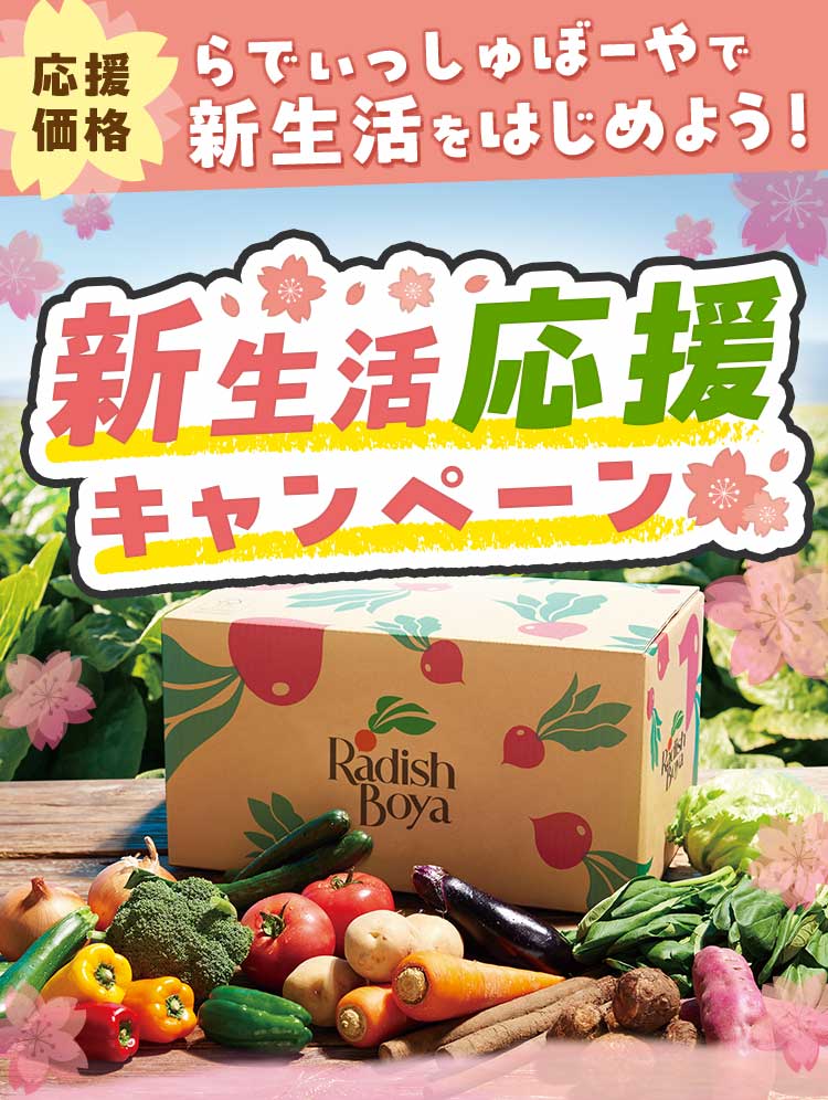 野菜の日限定 特別価格
