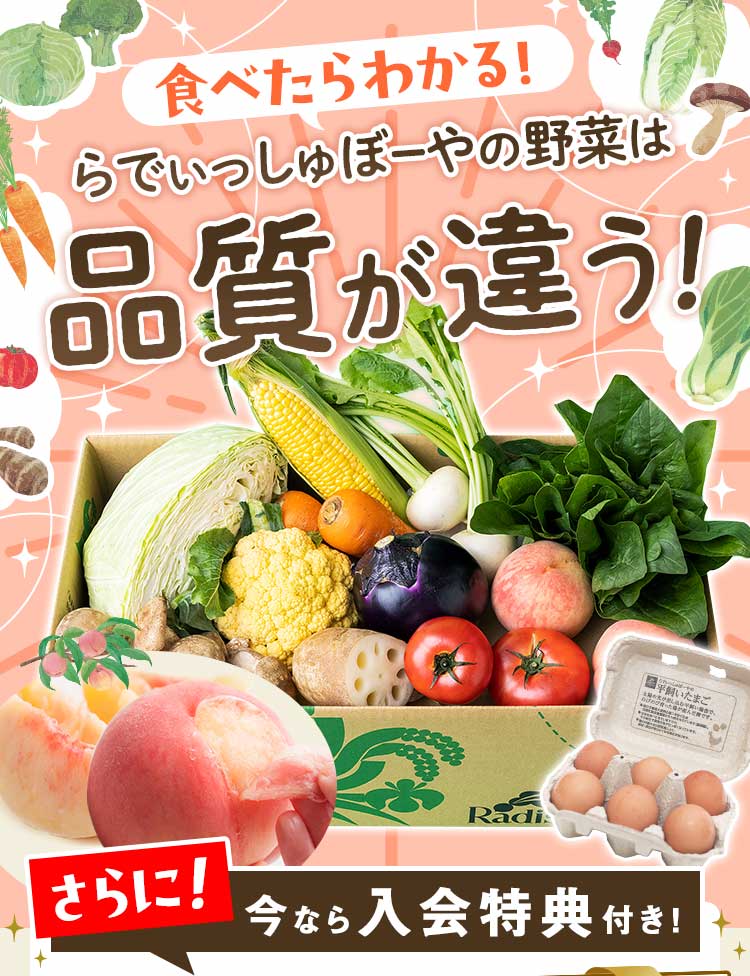 食べたらわかる!らでぃっしゅぼーやの野菜の品質が違う! さらに今なら入会特典付き