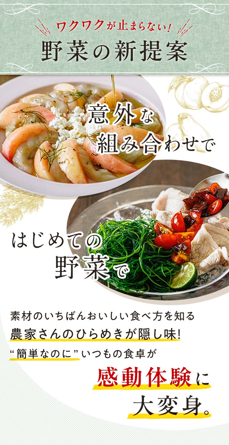 わくわくの野菜の新提案！