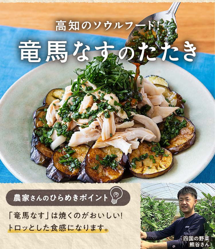 竜馬なすのたたき