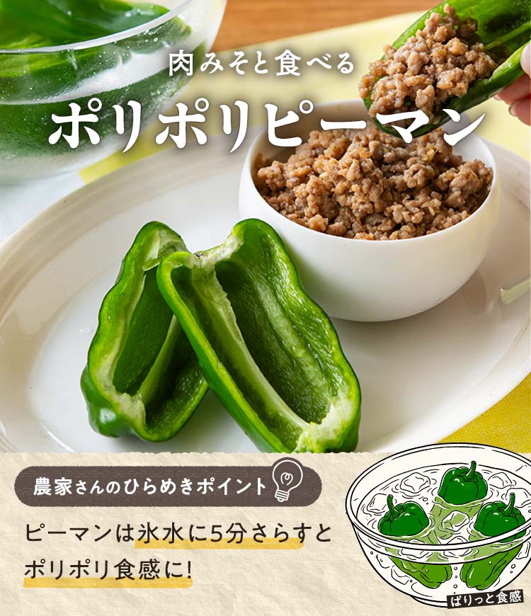 ポリポリピーマン