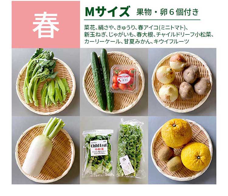 めぐる野菜箱の実際のお届け例