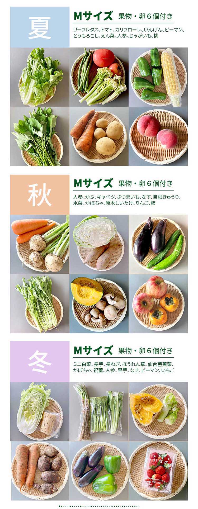 めぐる野菜箱の実際のお届け例