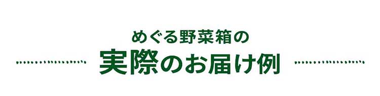 めぐる野菜箱の実際のお届け例