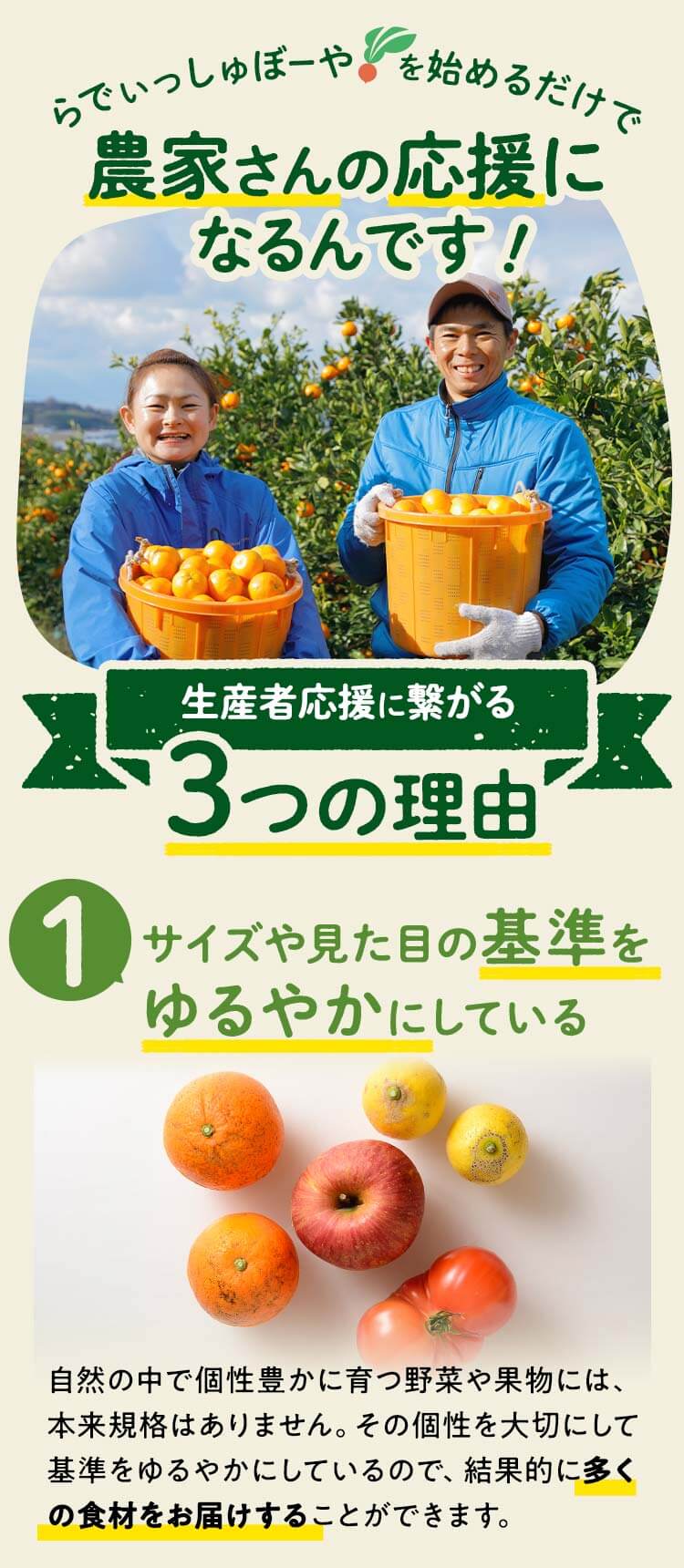らでぃっしゅぼーやをはじめるだけで農家さんの応援につながります：1.サイズや見た目の基準をゆるやかにしている