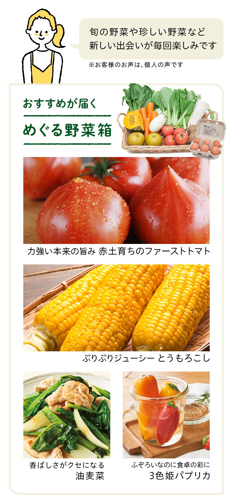 おすすめで届くめぐる野菜箱