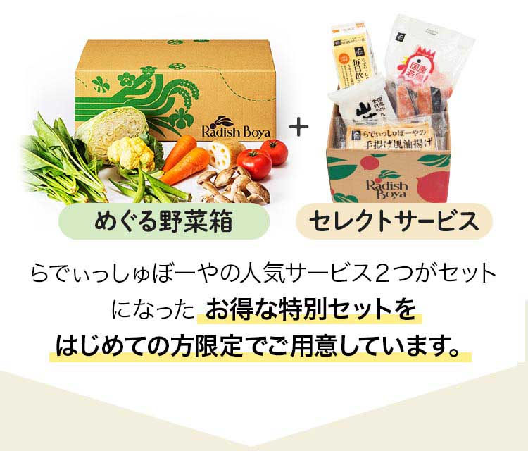 めぐる野菜箱・セレクトサービス。らでぃっしゅぼーやの人気サービス２つがセットになった お得な特別セットをはじめての方限定でご用意しています。