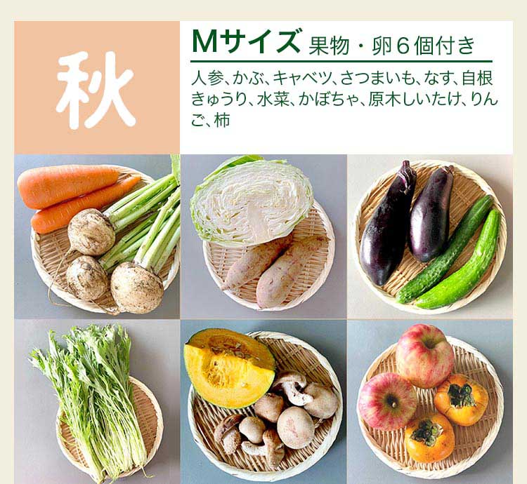 秋 Mサイズ　果物・卵6個付き