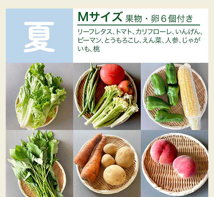 夏 Mサイズ　果物・卵6個付き