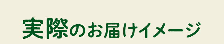実際のお届けイメージ