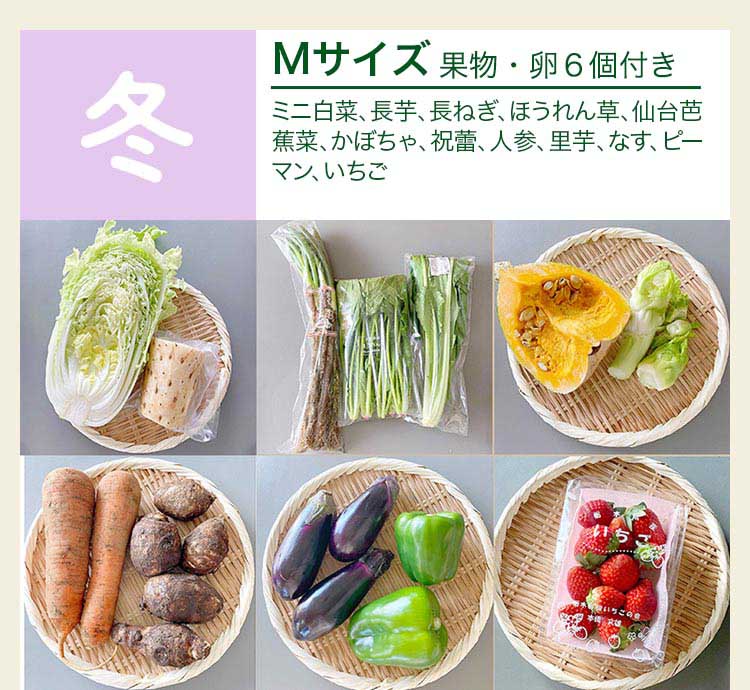 冬 Mサイズ　果物・卵6個付き