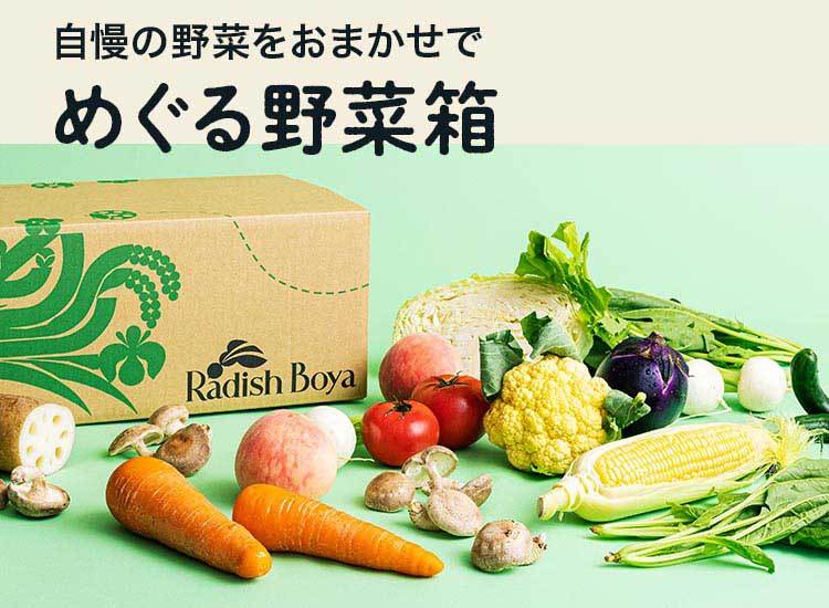 自慢の野菜をおまかせで　めぐる野菜箱