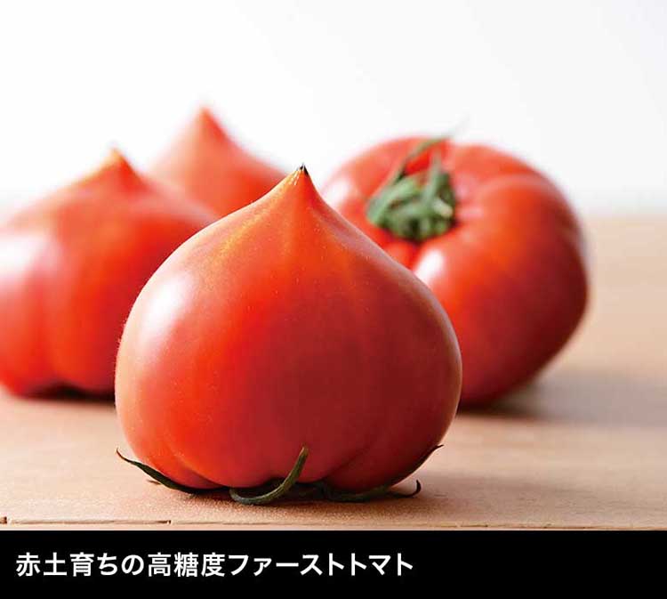 赤土育ちの高糖度ファーストトマト