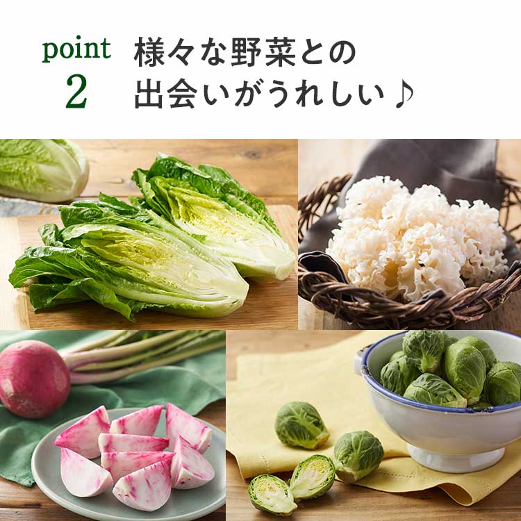 様々な野菜との出会いがうれしい♪