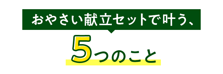 お野菜献立セットで叶う5つのこと