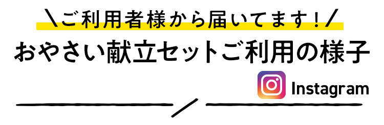 野菜を楽しむお声、届いてます！インスタグラムーご利用者さまの投稿ー