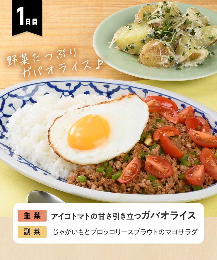 1日目 アイコトマトの甘さ引き立つガパオライス じゃがいもとブロッコリースプラウトのマヨサラダ