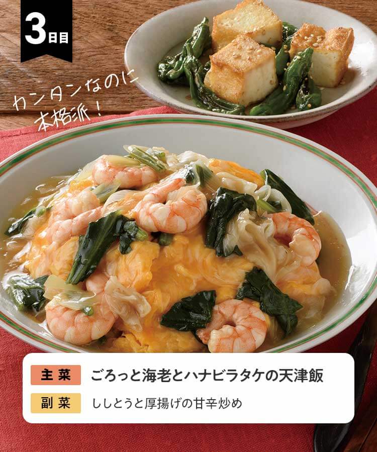 3日目 ごろっと海老とハナビラタケの天津飯　ししとうと厚揚げの甘辛炒め