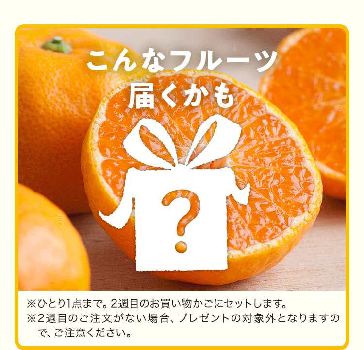 １～４週目 毎週１つずつ、人気アイテムをおためしプレゼント！