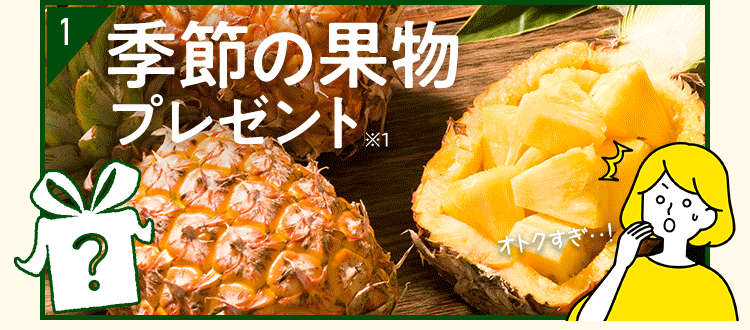 特典2配送料8週間無料 特典3 お買い物ポイントプレゼント