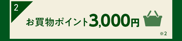 特典２ お買いものポイント3000円分