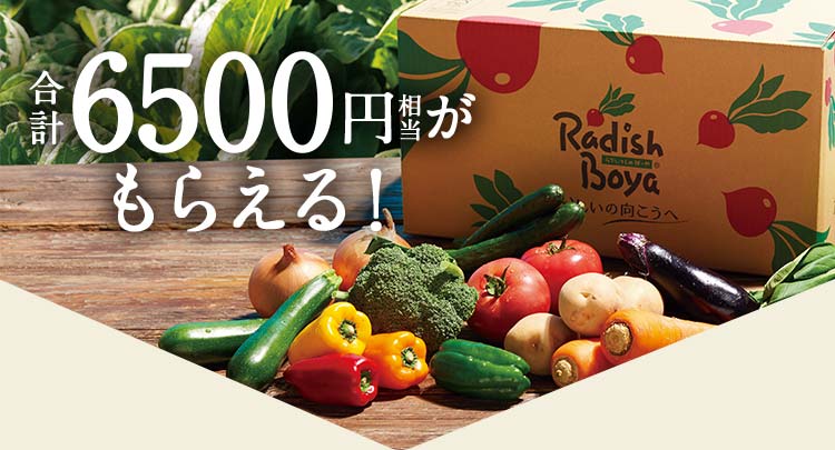 合計6,500円相当のプレゼントがもらえます