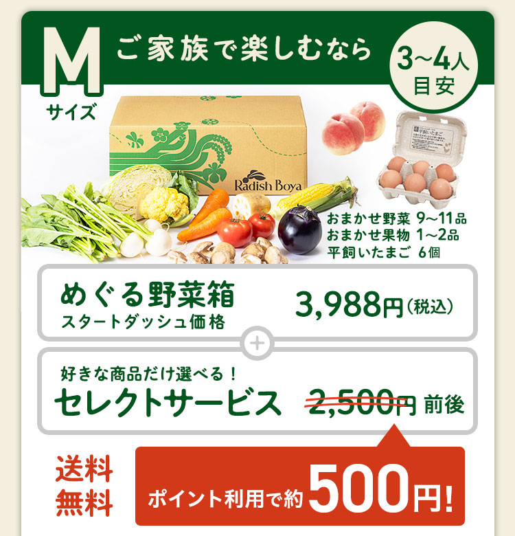 ＜1〜2人分＞まずはお手軽に旬の野菜を楽しむなら♪おためしセットと同じ野菜の品数　コース内容：［野菜BOX］旬の野菜7〜9品、旬の果物1~2品、平飼いたまご6個(通常規格〜ふぞろい含む)