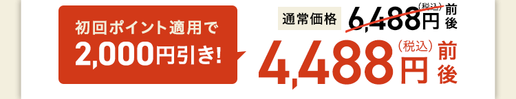4,618円(税込)前後