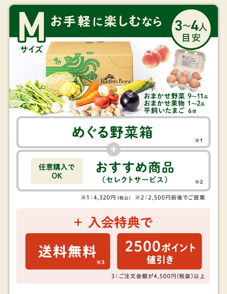 ＜1〜2人分＞まずはお手軽に旬の野菜を楽しむなら♪おためしセットと同じ野菜の品数 コース内容：［野菜BOX］旬の野菜7〜9品、旬の果物1~2品、平飼いたまご6個(通常規格〜ふぞろい含む)